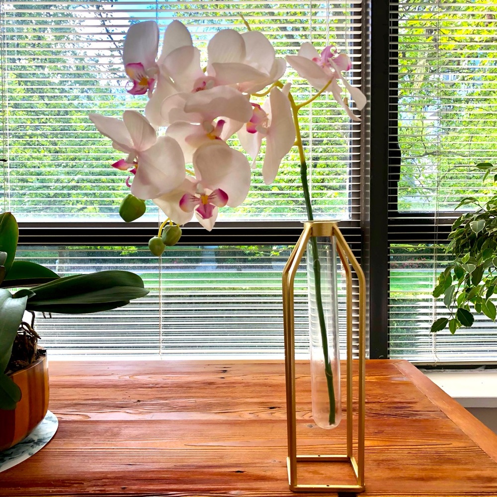 Modern Vase 🌺